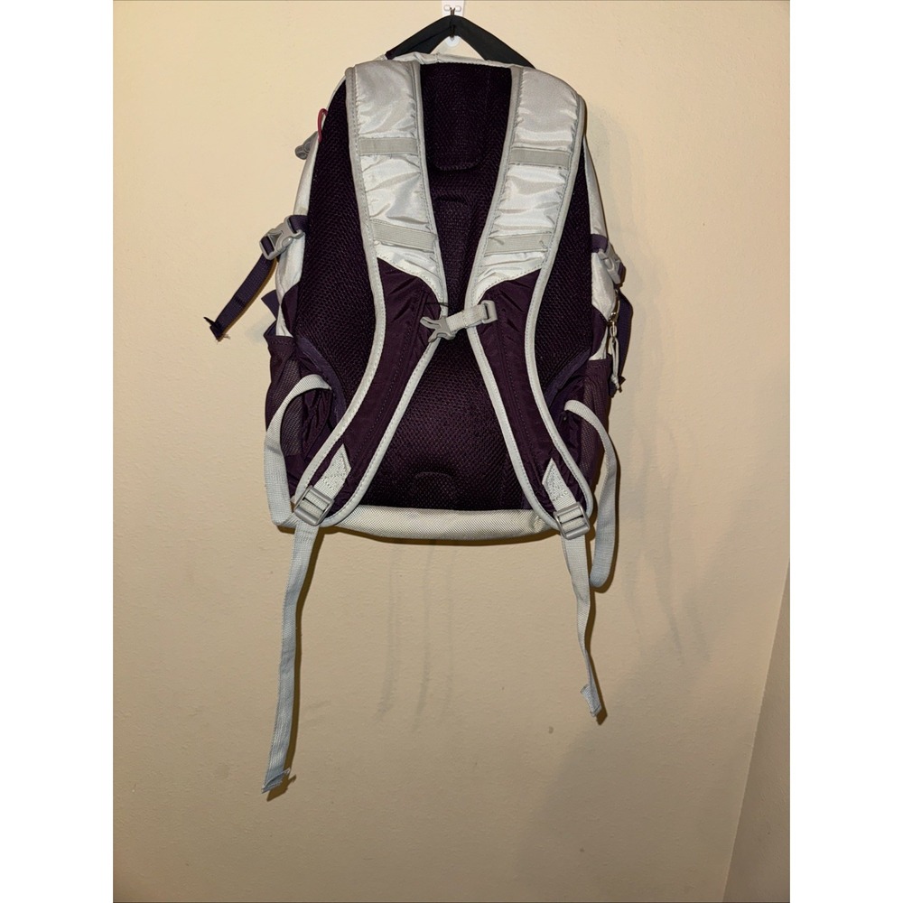 EDDIE BAUER Cassidy Day Pack Hiking Camping College BACKPACK 20L Purple And Gray - Picture 6 of 6